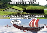 VIKINGS COVERED THEIR ROOFS IN GRASS SO ENEMY AIRCRAFT BOMBERS COULDN'T SEE THEM För Föck's Säke