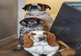 Beside them is the tipped over washing machine 0