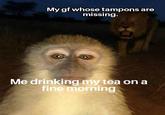 My gf whose tampons are missing. Me drinking my tea on a fine morning