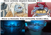 How artists depict female Tau. How a female Tau actually looks like. BEAR