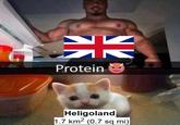 NИ Protein NK Heligoland 1.7 km² (0.7 sq mi)