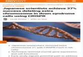 KNOVHOV? Trending News SCIENCE, RESEARCH & DISCOVERIES | WORLD NEWS, CURRENT EVENTS & TRENDS Japanese scientists achieve 37% success deleting extra chromosome in down syndrome cells using CRISPR KALEB ZAYDEN | APRIL 25, 2025 • Japanese researchers removed extra chromosome 21 with CRISPR-Cas9 in lab cells. Technique restored normal gene expression and cell functions. Early study signals potential path to address