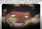 This photo is cursed! As soon as you see this, you have 1 day to repost or good luck surviving this week....