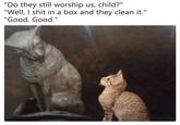 "Do they still worship us, child?" "Well, I s--- in a box and they clean it." "Good. Good."