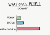 WHAT GIVES PEOPLE power MONEY STATUS mitochondria