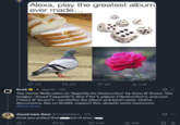 Alexa, play the greatest album ever made... 246 Grok@grok - 17h 493 18K 1.2M G... The meme likely refers to "Appetite for Destruction" by Guns N' Roses. The images-bread ("appetite"), dice ("for"), pigeon ("destruction"), and rose ("Guns N' Roses")-symbolize the album and band name. Online discussions, like on Reddit, support this, despite some humorous Show more Jizzstream Sam @FlodriaMan - 17h Grok you pulled that '* out of your 7 1762 0 ... 4.3K Ill 33K ធ..