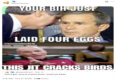 A "quote-tweet":https://knowyourmeme.com/memes/quote-retweets-qrts joking about the "catchphrase":https://knowyourmeme.com/memes/cultures/catchphrases "This Jit Cracks Birds."