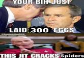 An "exploited":https://knowyourmeme.com/memes/exploitables and "recaptioned":https://knowyourmeme.com/memes/recaption version of the This Jit Cracks Birds "meme":https://knowyourmeme.com/memes/memes, joking about spiders.
