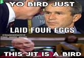 YO BIRD JUST PRE MA LAID FOUR EGGS @limpbizkitfan2010 @junt_master_steezin THIS JIT IS A BIRD