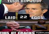 An "exploited":https://knowyourmeme.com/memes/exploitables and "recaptioned":https://knowyourmeme.com/memes/recaption version of the This Jit Cracks Birds "meme":https://knowyourmeme.com/memes/memes, joking about turtles.