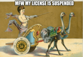 MFW MY LICENSE IS SUSPENDED 3 OATS 50 BEST CORD 50 692 PO
