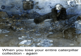 Dul When you lose your entire caterpillar collection - again