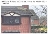 This is Nico, our cat. This is NOT our house