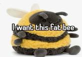 I want this fat bee
