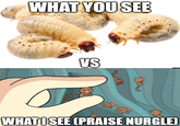 WHAT YOU SEE VS Da 56 WHAT I SEE (PRAISE NURGLE)