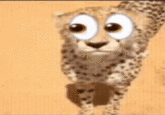 A "GIF":https://knowyourmeme.com/memes/cultures/gif used as a "reaction image":https://knowyourmeme.com/memes/reaction-images of a cheetah with the Eyes "emoji":https://knowyourmeme.com/memes/emoji (👀) on its face.