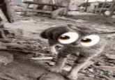 A "GIF":https://knowyourmeme.com/memes/cultures/gif used as a "reaction image":https://knowyourmeme.com/memes/reaction-images of a cat with the Eyes "emoji":https://knowyourmeme.com/memes/emoji (👀) on its face.
