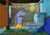 Tesla Owners a car that can't open its doors if the battery is dead, for 42k Oh, that's REAL nice