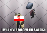 I WILL NEVER FORGIVE THE SWEDISH