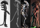 Xenomorph comparison