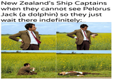 New Zealand's Ship Captains when they cannot see Pelorus Jack (a dolphin) so they just wait there indefinitely: MQ683T