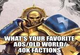 WHAT'S YOUR FAVORITE AOS/OLD WORLD/ 40K FACTIONS imgflip.com