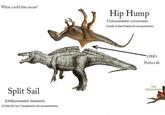 What could this mean? Split Sail Ichthyovenator laosensis (Credit DA user Tetraphoneus for reconstruction) Hip Hump Concavenator corcovatus (Credit to Raul Martin for reconstruction) OMG Perfect fit THE THAGOMIZER