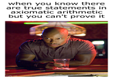 when you know there are true statements in axiomatic arithmetic but you can't prove it imgflip.com