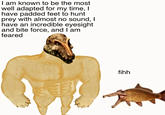 I am known to be the most well adapted for my time, I have padded feet to hunt prey with almost no sound, I have an incredible eyesight and bite force, and I am feared fihh