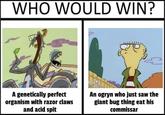WHO WOULD WIN? A genetically perfect organism with razor claws and acid spit An ogryn who just saw the giant bug thing eat his commissar