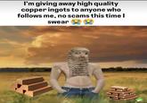 I'm giving away high quality copper ingots to anyone who follows me, no scams this time I swear