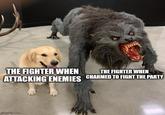 THE FIGHTER WHEN THE FIGHTER WHEN ATTACKING ENEMIES CHARMED TO FIGHT THE PARTY imgflip.com