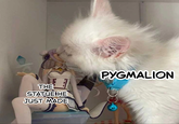 THE STATUE HE JUST MADE PYGMALION