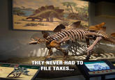 IS (steguh-SOR-us) y plates on its back THEY NEVER HAD TO FILE TAXES... lived tegosourus Stegosaurus