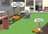 Nice pumpkins you grew, dear. J J Thanks, honey