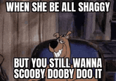 WHEN SHE BE ALL SHAGGY BUT YOU STILL WANNA SCOOBY DOOBY DOO IT