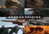 DRAGON ORIGINS