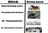 Ditch Self driving cars Al powered drones Al "Companions" Al "Customer Service" Bring back