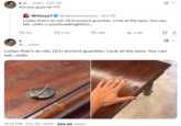 X user @___soltu posted a tweet that read, "Are you guys ok ???," and gathered over 90,000 likes in four days. The user also replied to their own tweet with a photo of a lizard and a joke mimicking the original viral phrase.