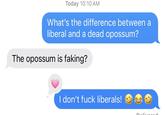 Today 10:10 AM What's the difference between a liberal and a dead opossum? The opossum is faking? I don't f--- liberals!