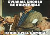 SWARMS SHOULD BE VULNERABLE TO AOE SPELL DAMAGE mop.com