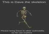 This is Dave the skeleton Please bring Dave to other subreddits so he can explore