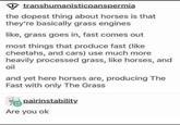 transhumanisticpanspermia the dopest thing about horses is that they're basically grass engines like, grass goes in, fast comes out most things that produce fast (like cheetahs, and cars) use much more heavily processed grass, like horses, and oil and yet here horses are, producing The Fast with only The Grass pairinstability. Are you ok