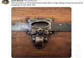 Josh Bolick @JoshBolick The buckles on this old chest look like a frog riding a motorcycle and hanging on for dear life. 348