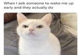 When I ask someone to wake me up early and they actually do