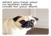 when you hear your co-worker taking credit for your work