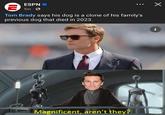 טו ESPN 5m Tom Brady says his dog is a clone of his family's previous dog that died in 2023. Magnificent, aren't they? i