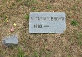 ASPASIA P. BROWN 1883