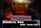 The Epstein Files DIDDLER DON HIDE THEM FILES THE LIMBIL TRI