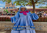 I'm glad (happy) we can still say penis on Reddit.